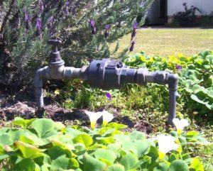 Water meter in front yard.