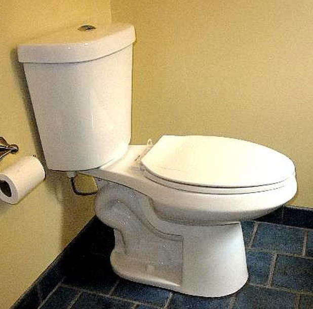 Early Model dual flush toilet.