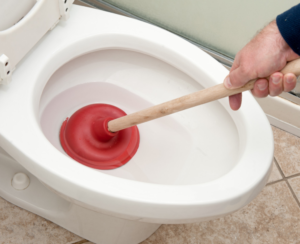 unblock toilet with plunger.