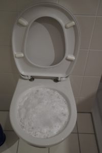 Blocked toilet