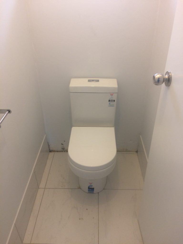 New toilet installed by a professional plumber