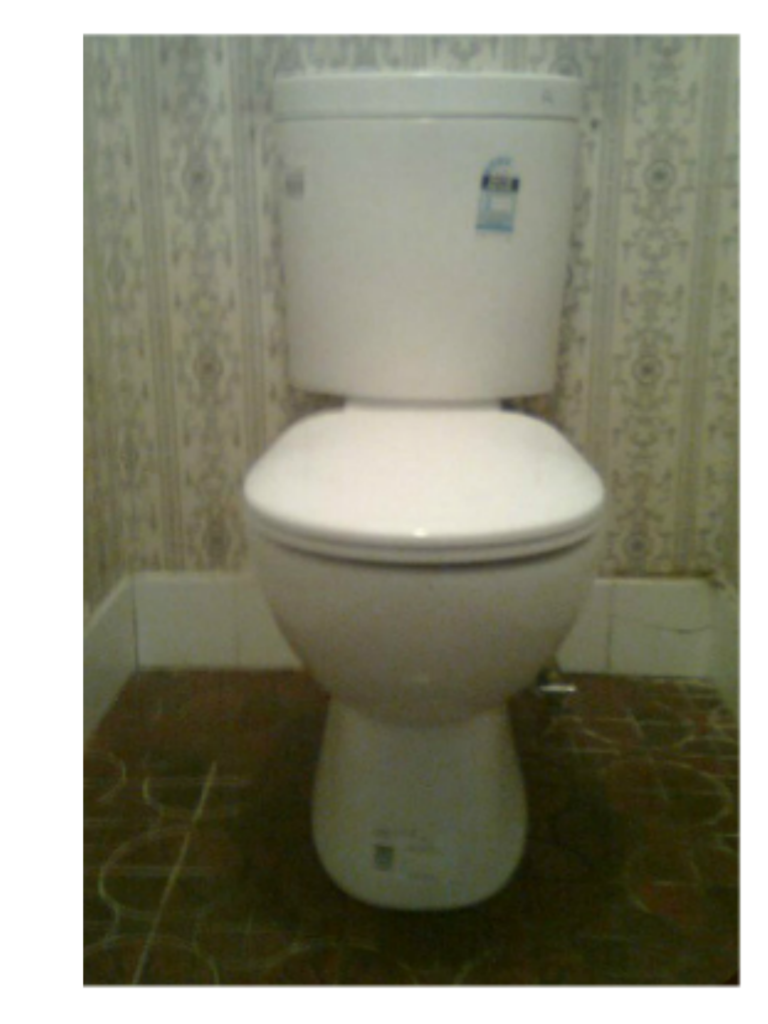 New toilet install by professional sunshine coast plumber